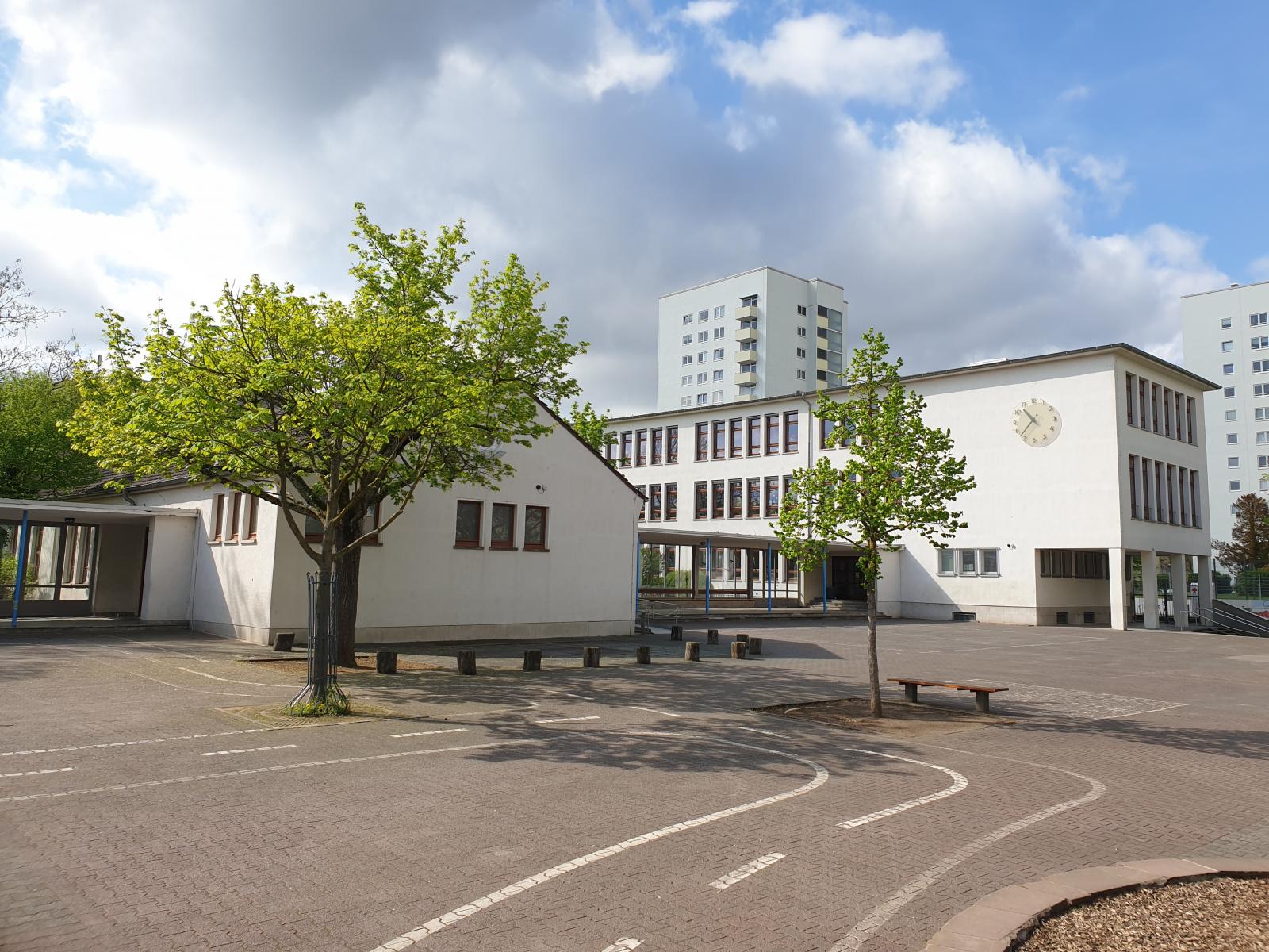 Schulportal Riedhofschule in Frankfurt a. M.
