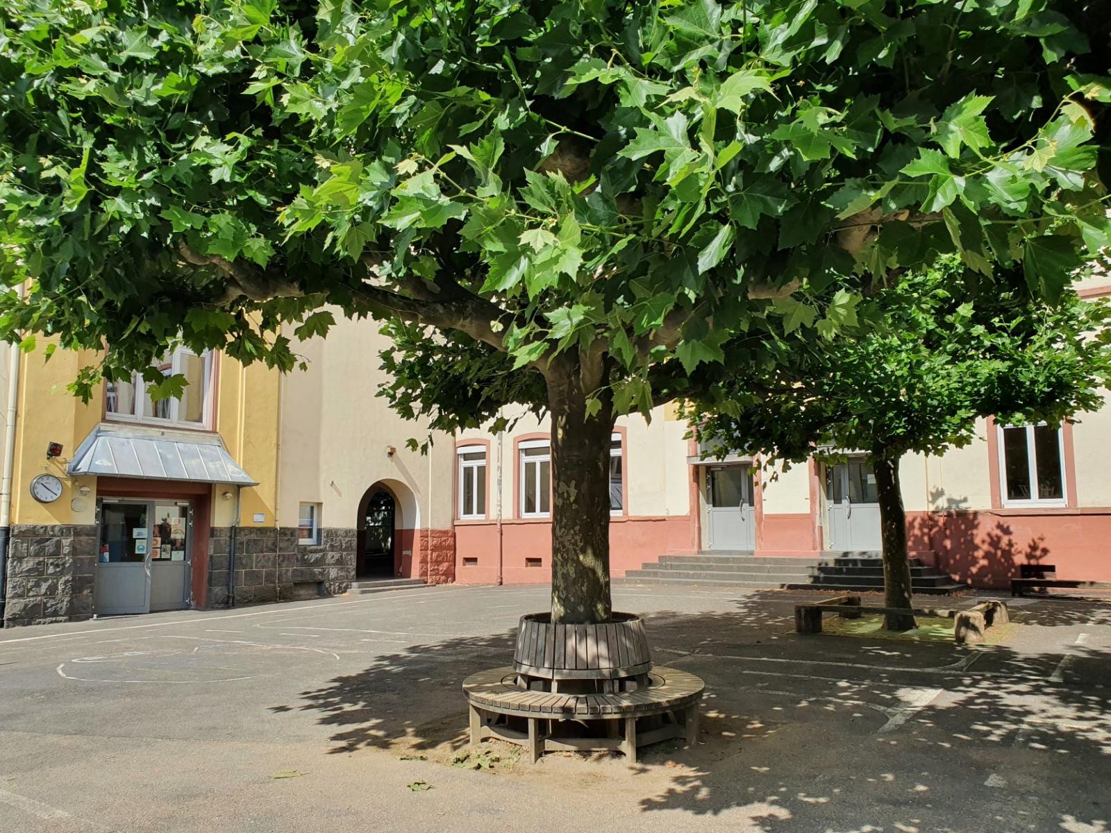 Schulportal Robert-Schumann-Schule in Frankfurt a. M.