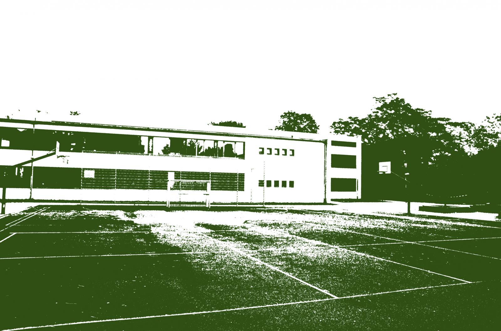 Schulportal Walter-Kolb-Schule in Frankfurt a. M.