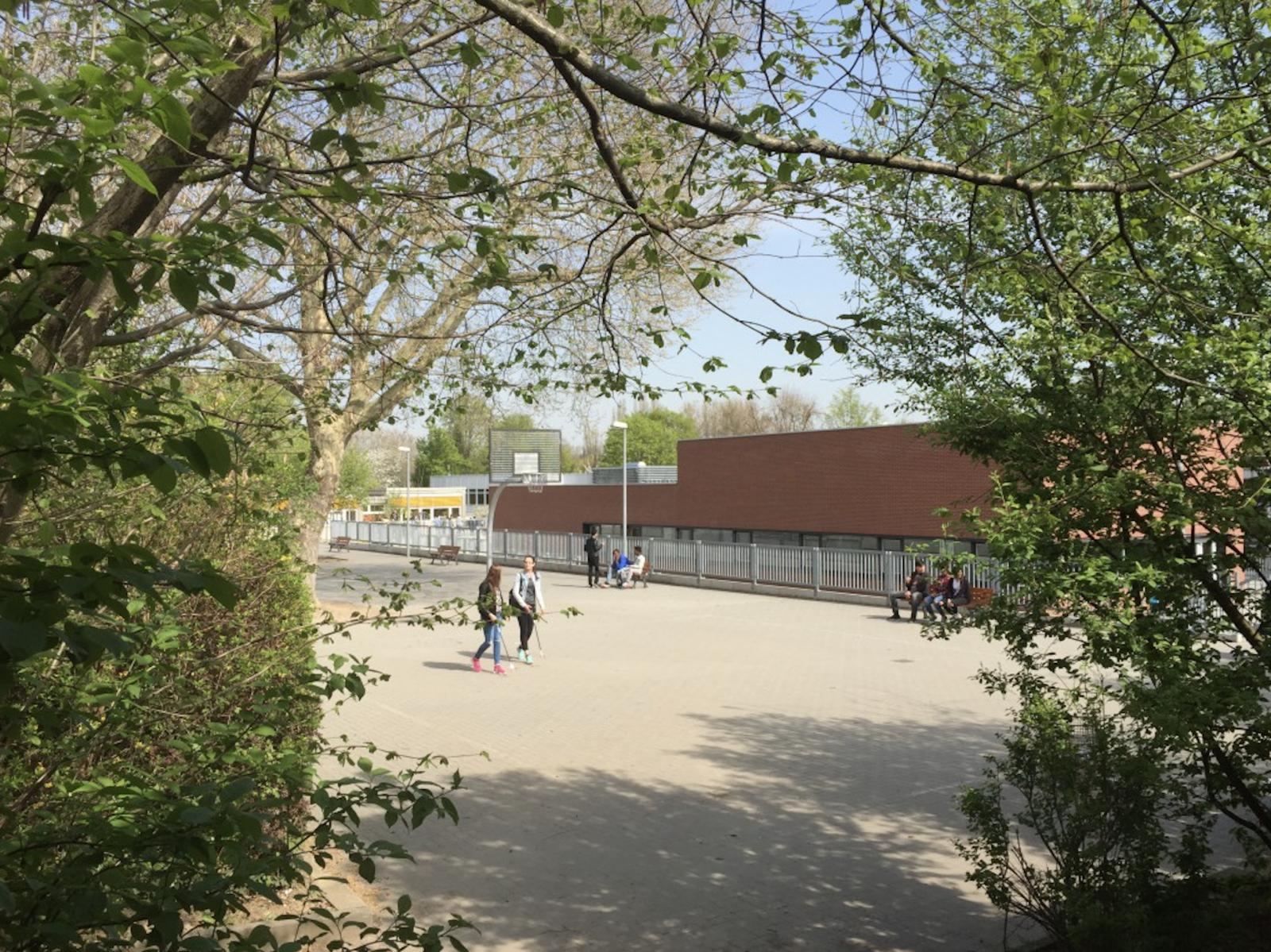 Schulportal Edith-Stein-Schule in Frankfurt a. M.