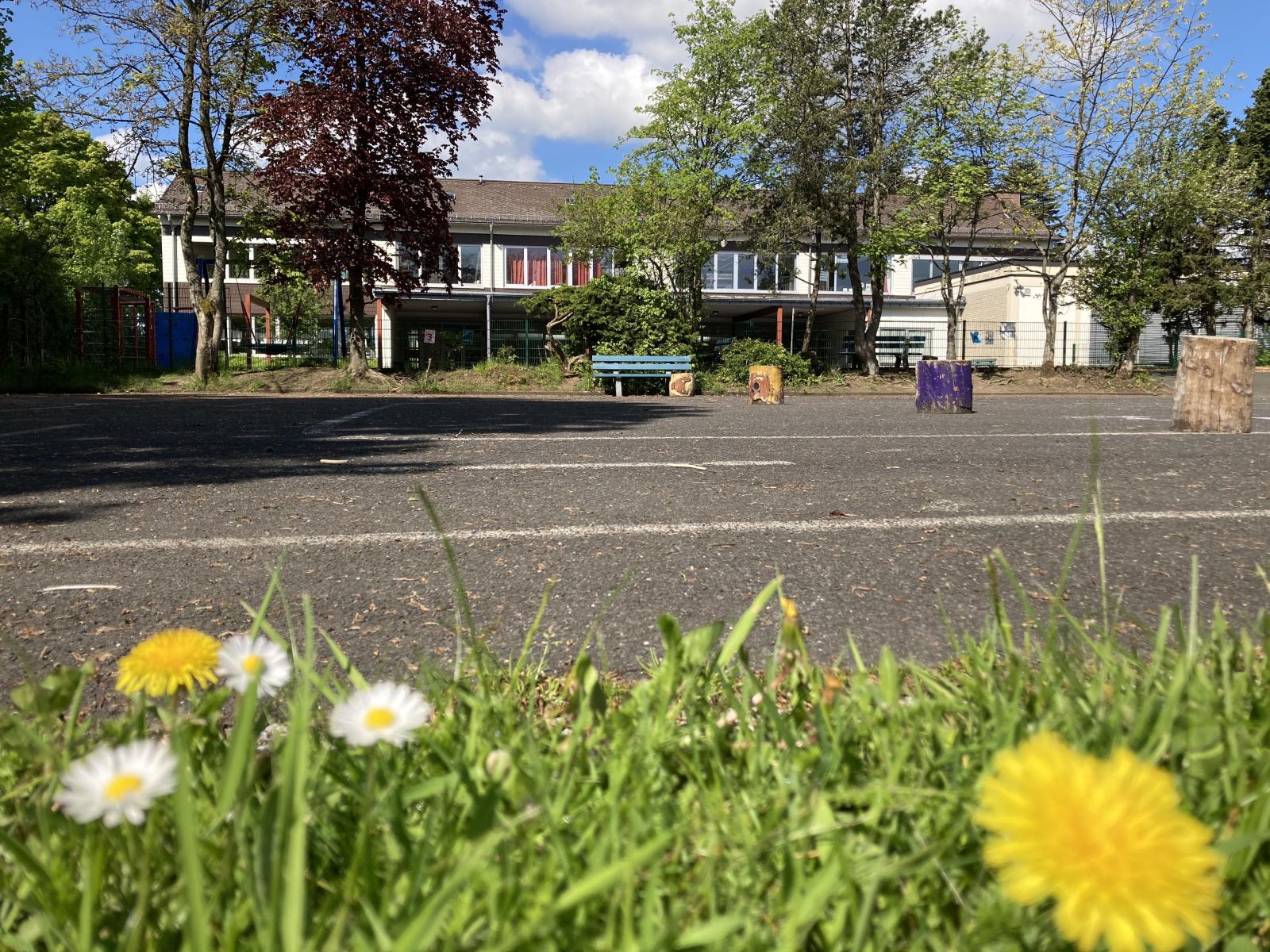 Schulportal Herbert-Hoover-Schule in Eschenburg