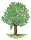 Schulportal Grundschule Vielbrunn Logo