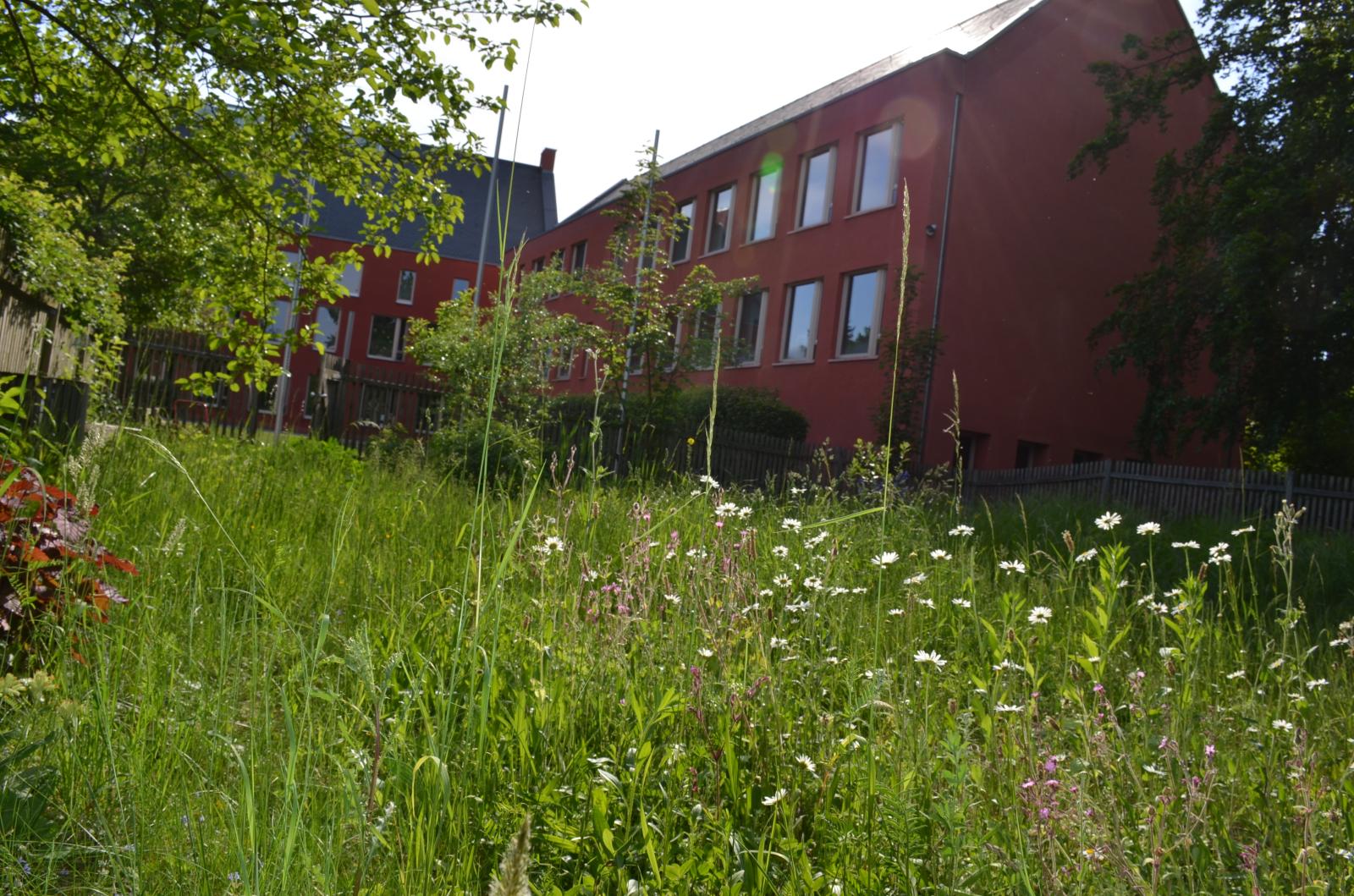 Schulportal Grundschule im Eschbachtal in Bad Homburg