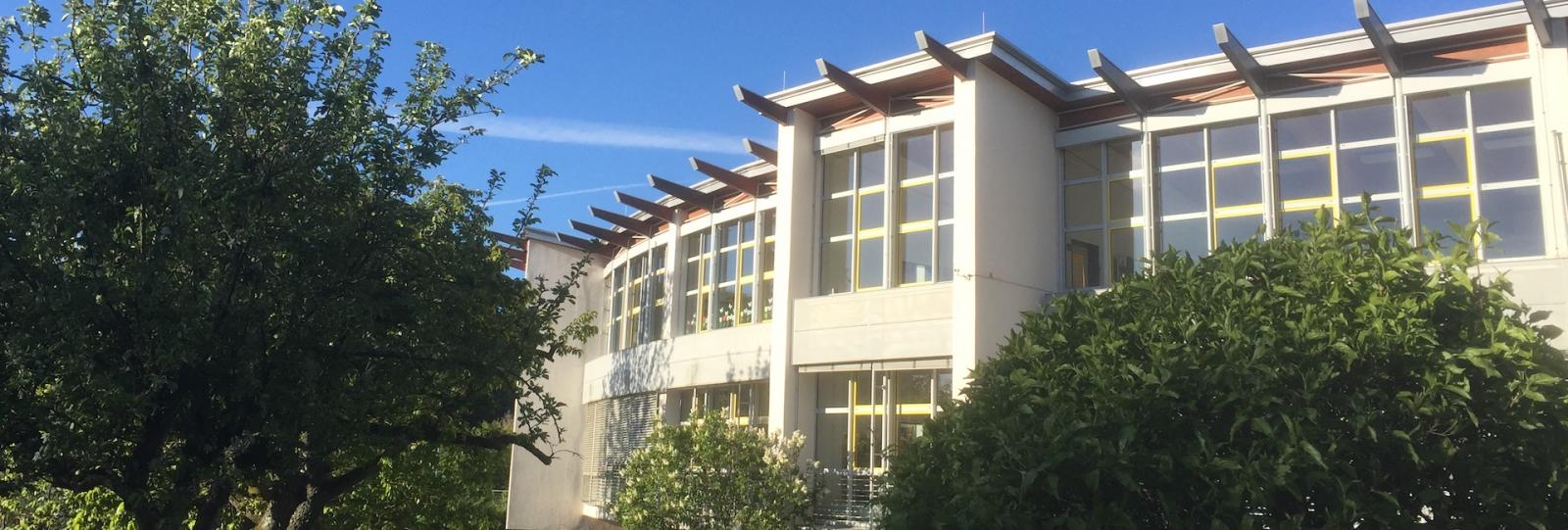 Schulportal Grundschule Am Sommerberg in Weilrod