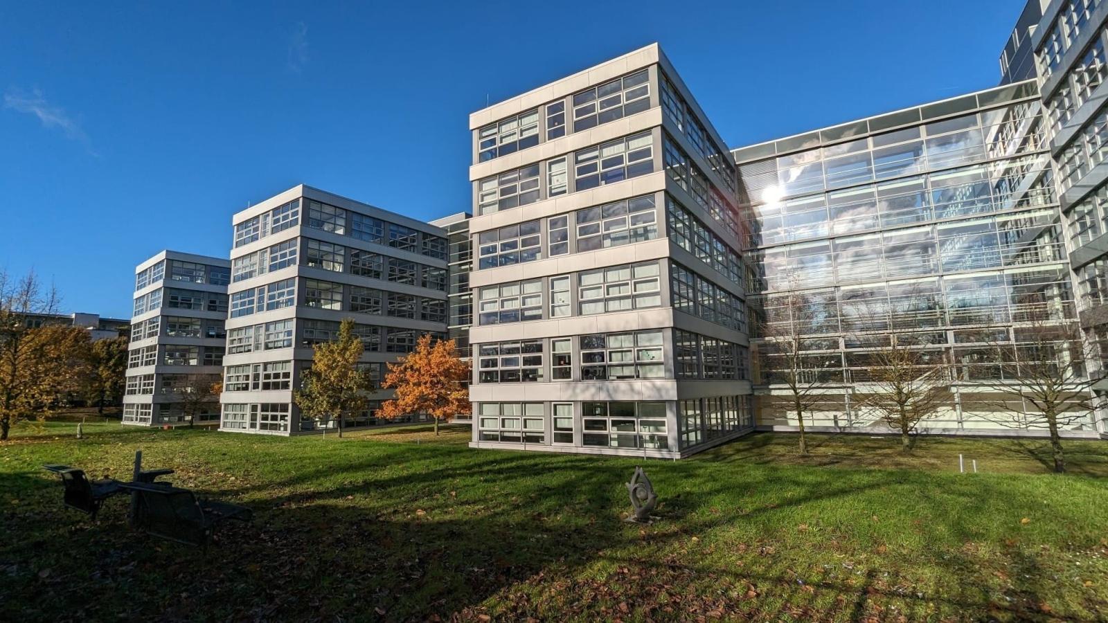 Schulportal Margot-Friedländer-Gymnasium in Frankfurt a. M.