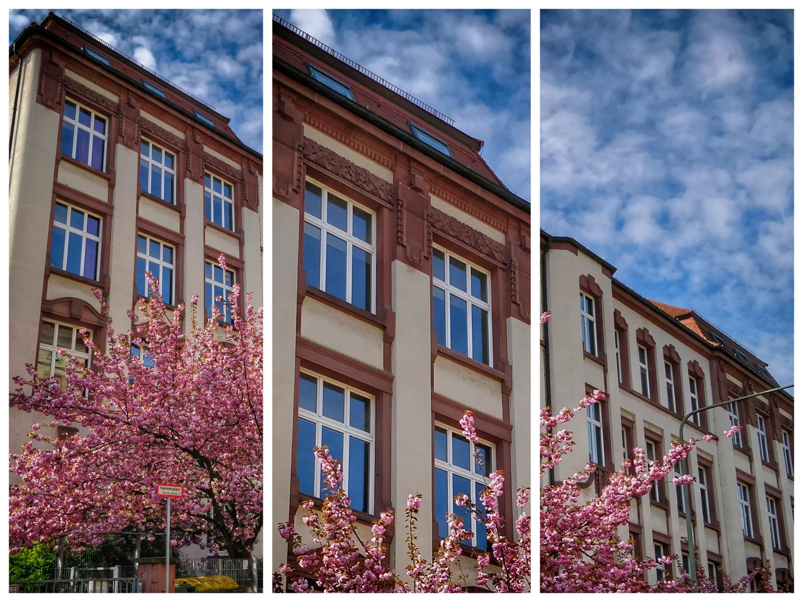 Schulportal Deutschherrenschule in Frankfurt a. M.