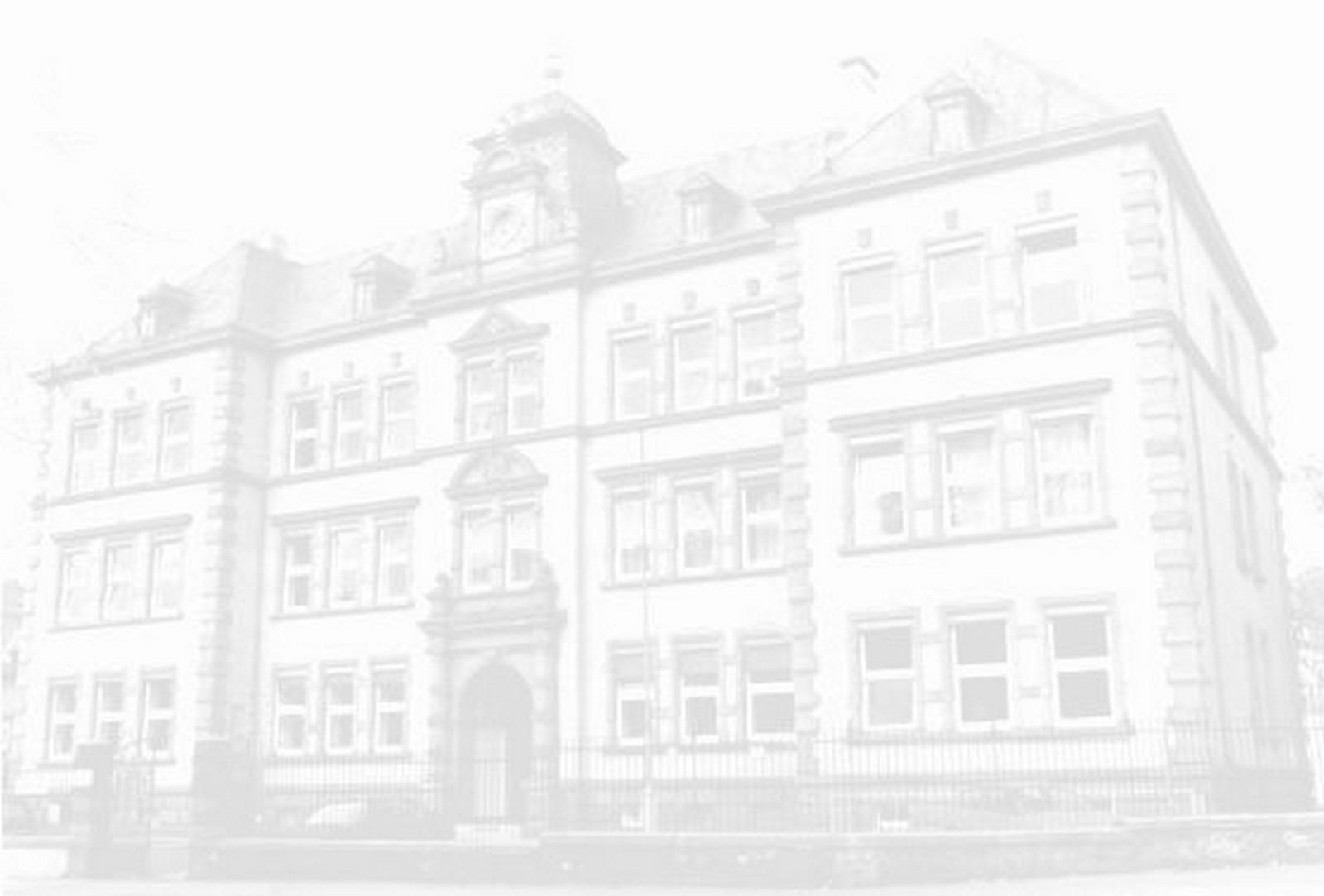 Schulportal Robert-Koch-Schule in Frankfurt a. M.