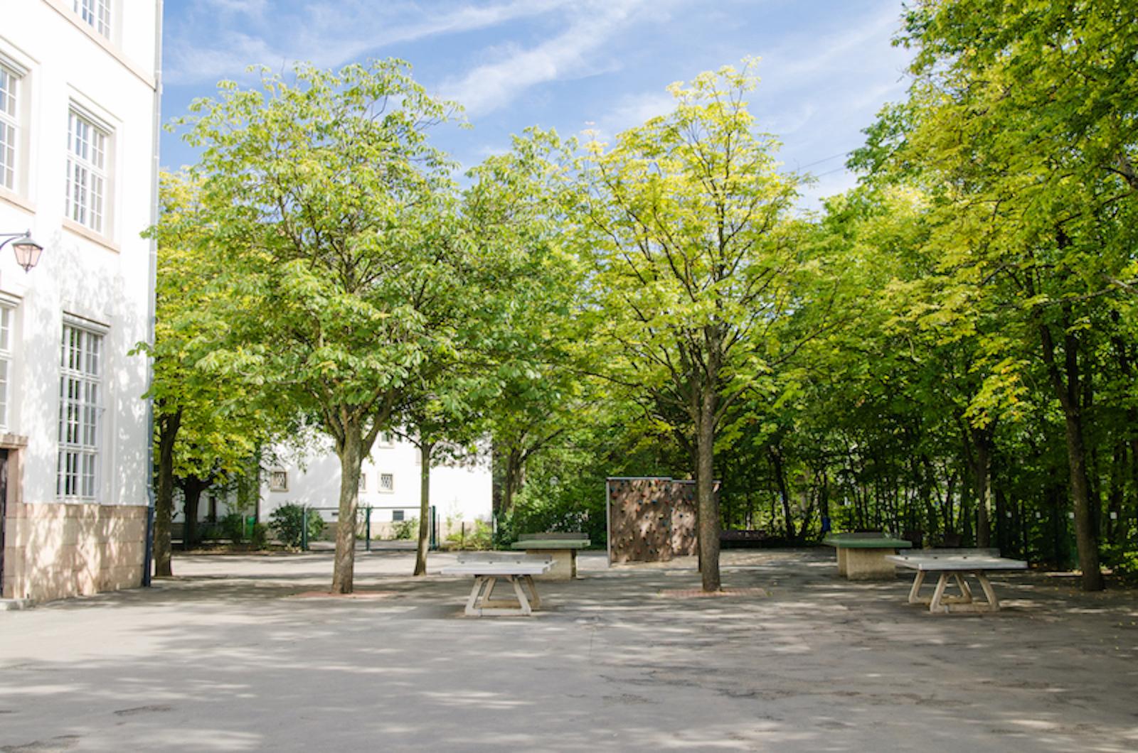 Schulportal Leibnizschule in Offenbach
