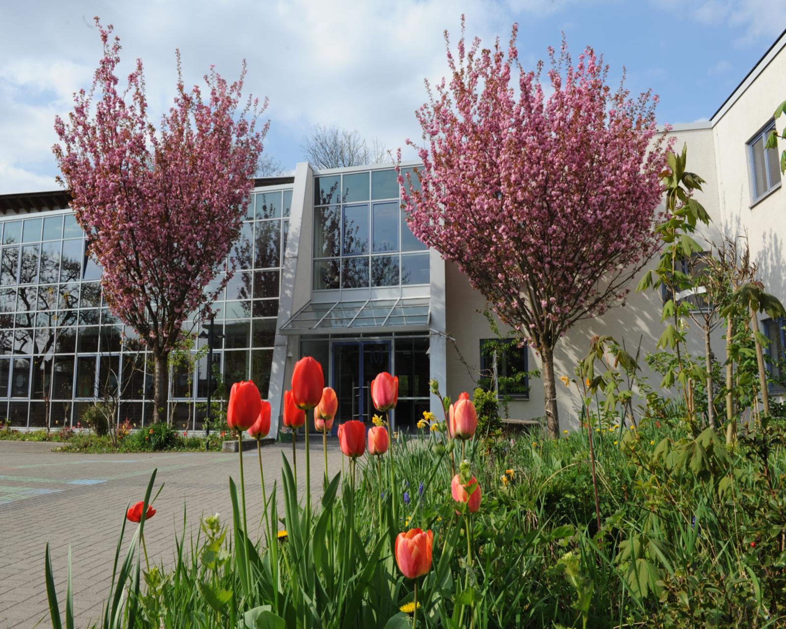 Schulportal Gymnasium am Mosbacher Berg in Wiesbaden