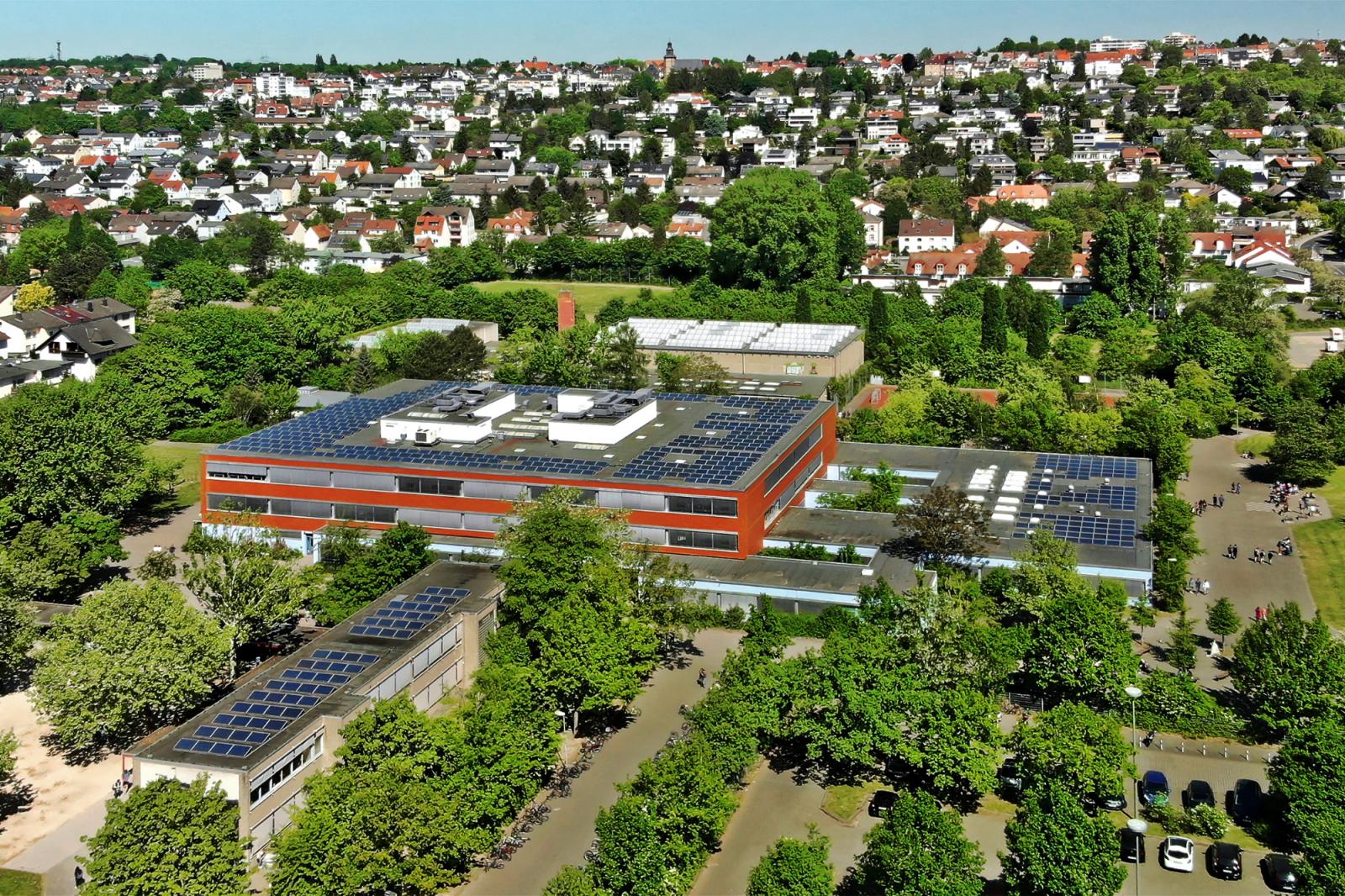 Schulportal Schule am Ried in Frankfurt a. M.