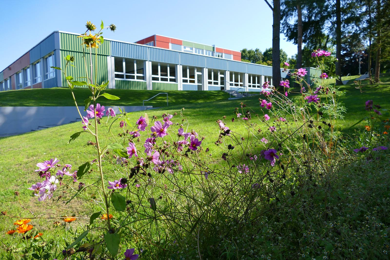 Schulportal Gesamtschule Busecker Tal in Buseck