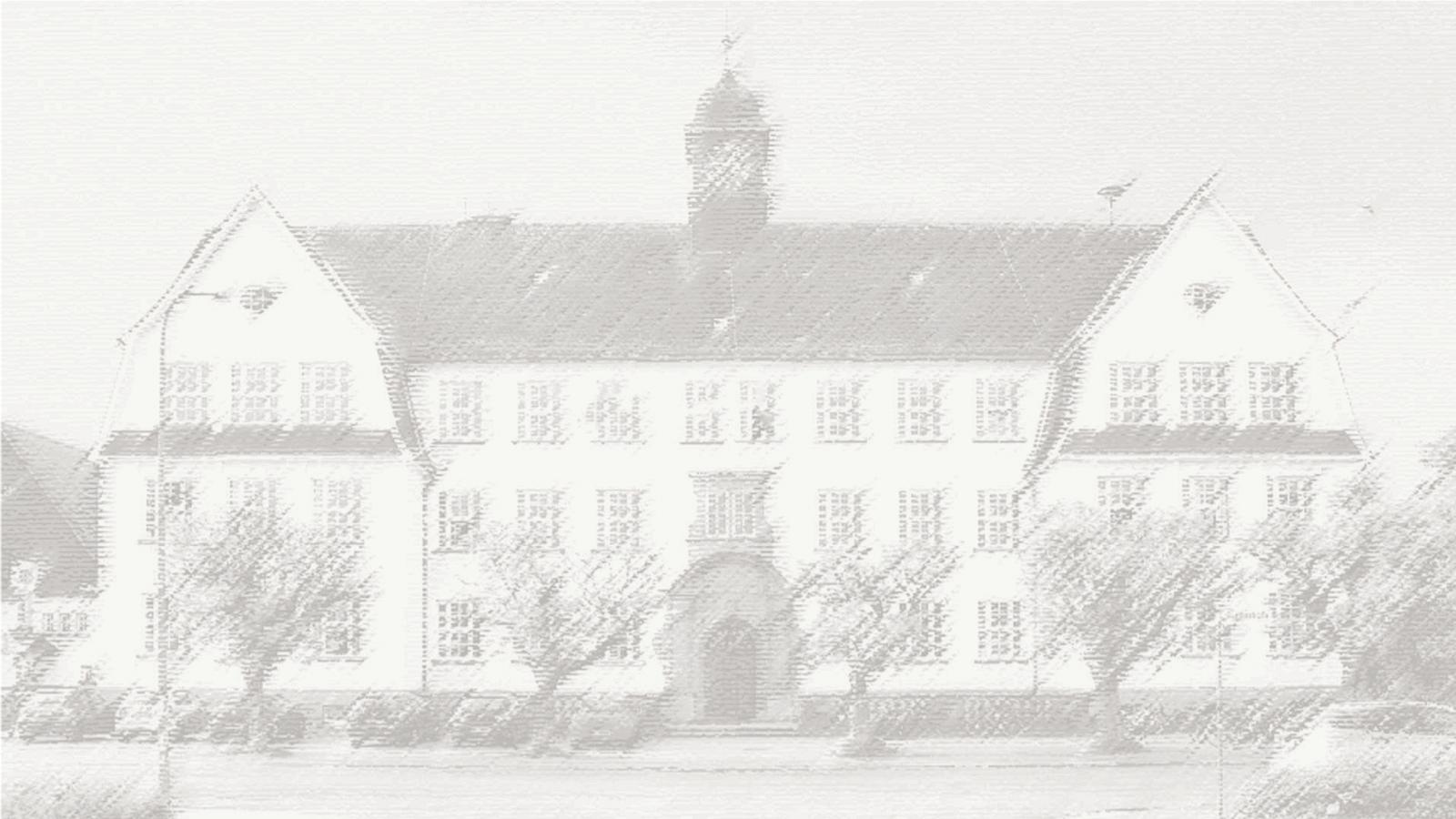 Schulportal Goetheschule in Dieburg