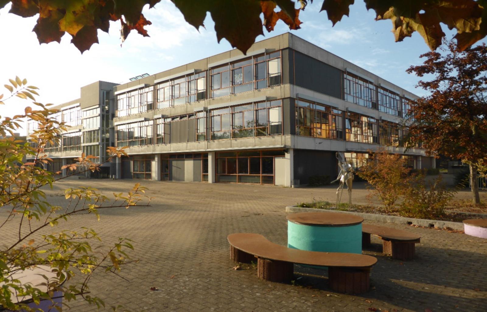 Schulportal Schule am Mainbogen in Frankfurt a. M.