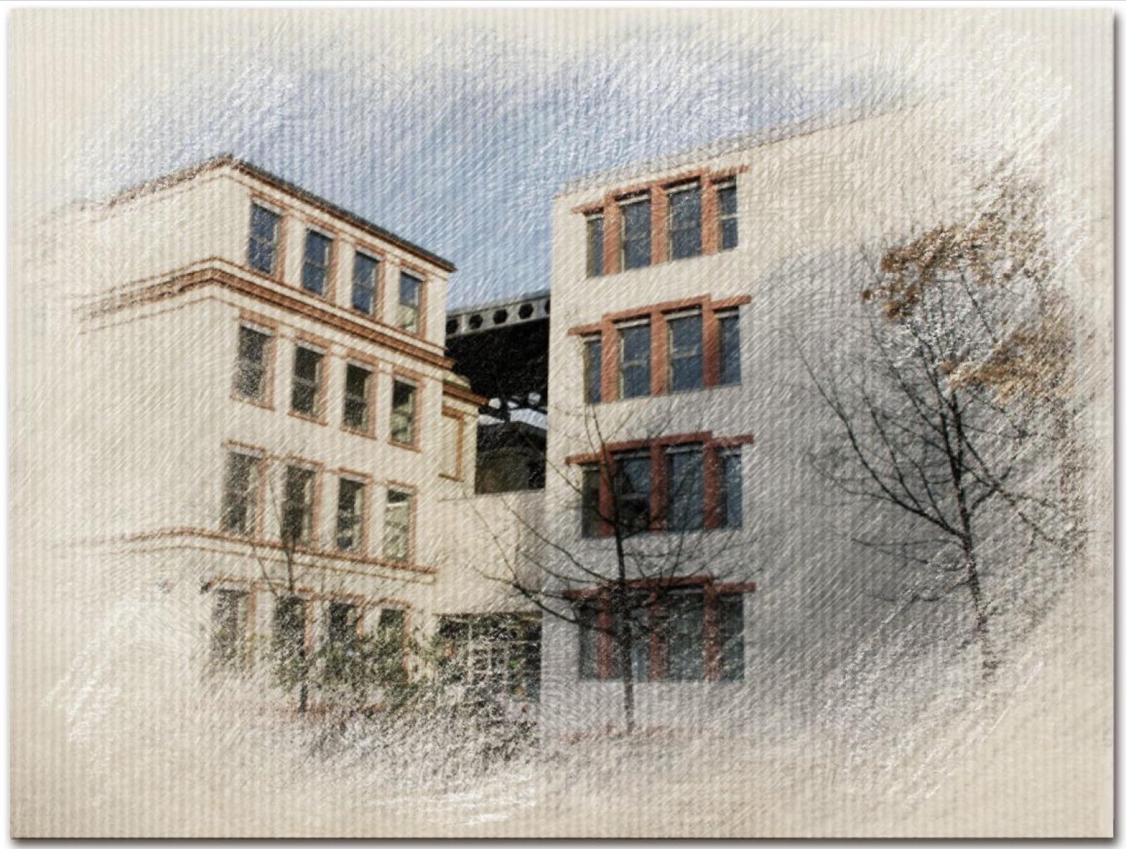 Schulportal Wilhelm-Merton-Schule in Frankfurt a. M.