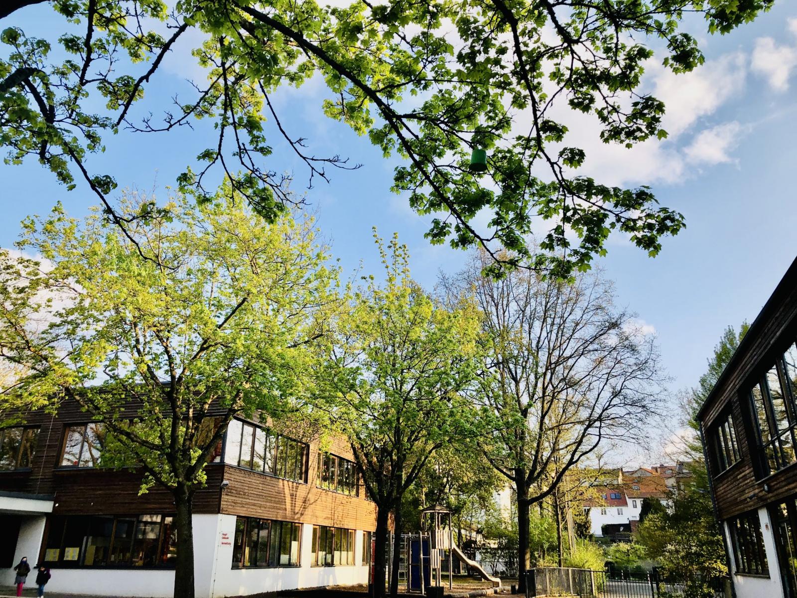 Schulportal Grundschule Kirchditmold in Kassel