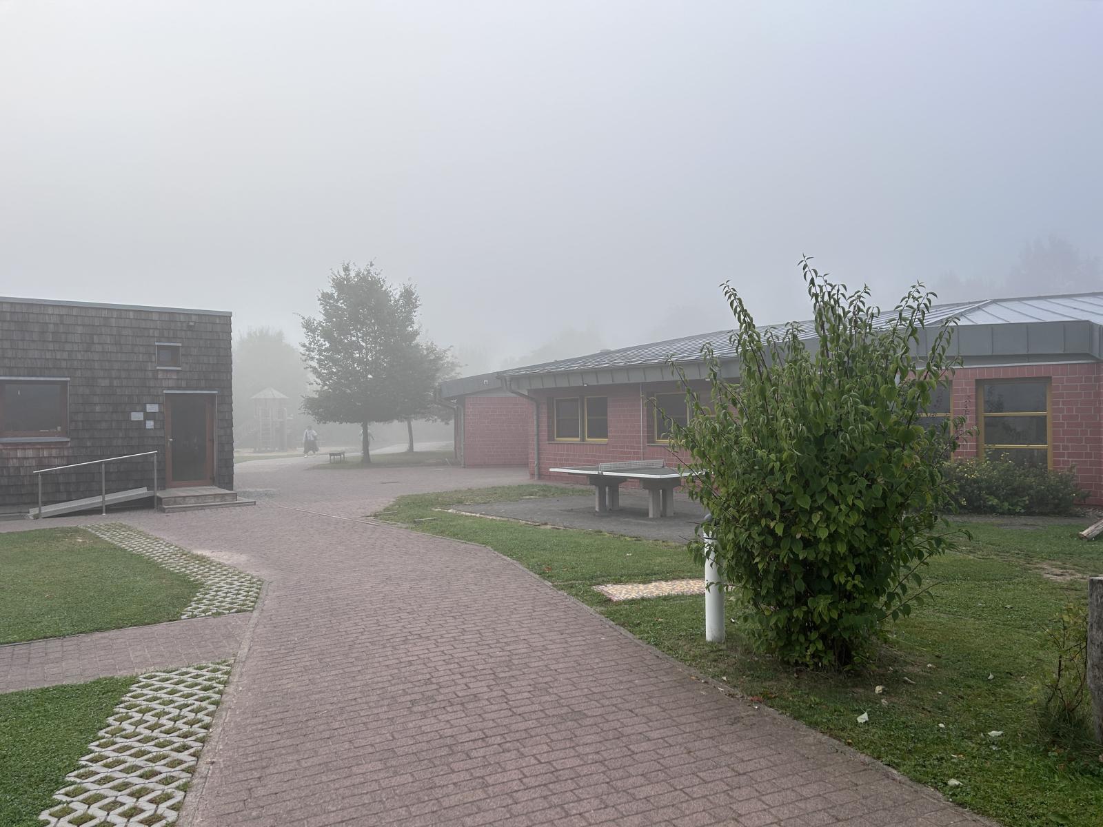 Schulportal Paul-Moor-Schule in Wehretal