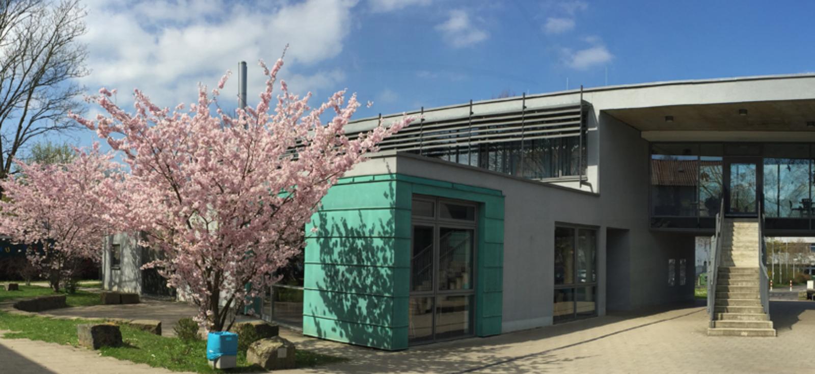 Schulportal Georg-August-Zinn-Schule in Kassel