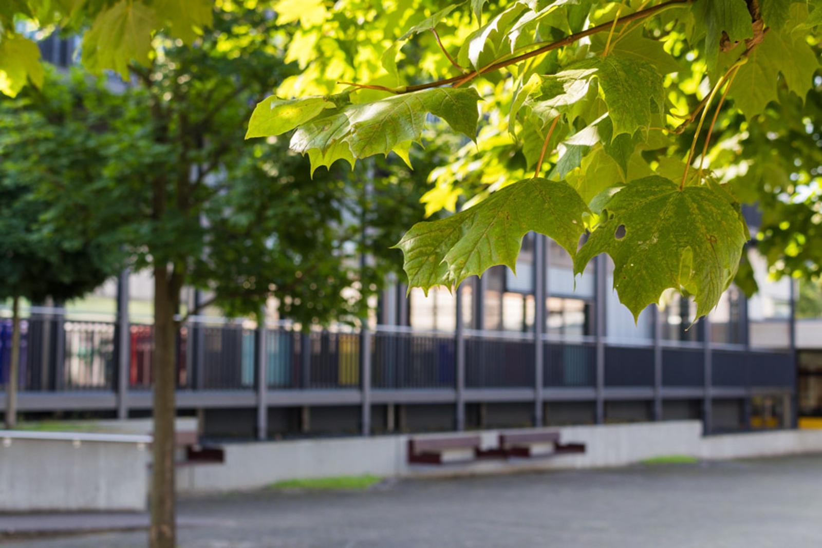 Schulportal Berufliche Schulen des Werra-Meißner-Kreises in Witzenhausen in Witzenhausen